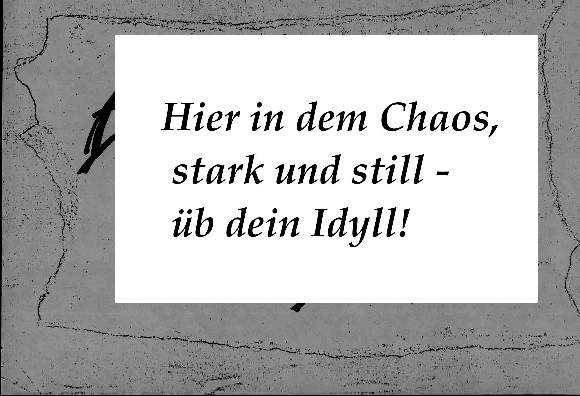 11_ Hier in dem Chaos